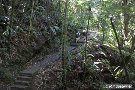 Sentier du Pas du Roy