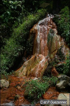 La source chaude du Galion à 45,6