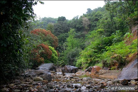 La rivière Grande Plaine en aval du deuxième canyon