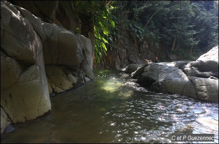 La rivière Grande Plaine à l'arrivée au Saut d'Acomat