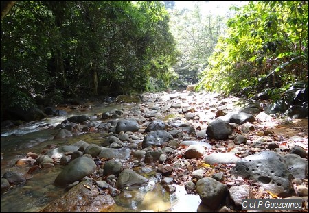  Point d'arrivé dans la rivière Grande Plaine