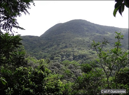  Point de vue sur Morne à Louis - Voir les antennes