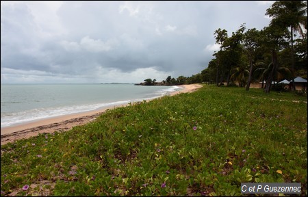 Plage des Amandiers