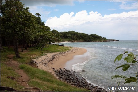 Anse Vinty