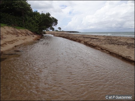 Anse de Nogent et embouchure de la rivière de Nogent