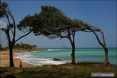 Anse du Petit Fort