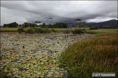 Mare de Morne Major