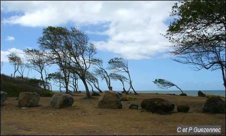 Vers la Pointe Allègre