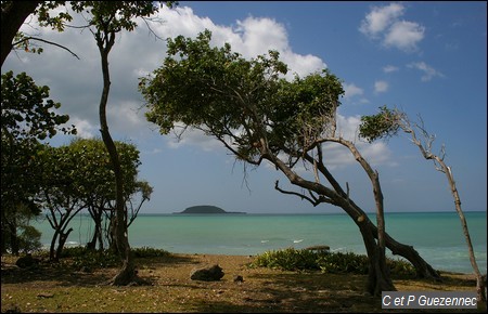 L'îlet à Kahouane depuis la Pointe Allègre