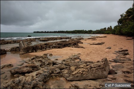 Plage de Clugny 