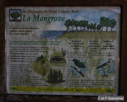 Panneau d'infos à l'entrée de la Mangrove
