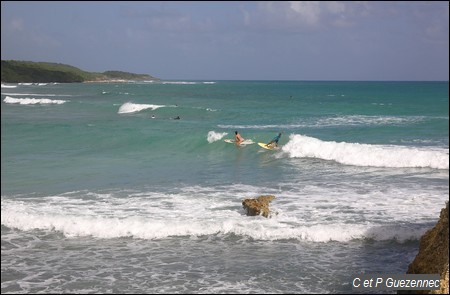 Surfeurs plage du Helleux