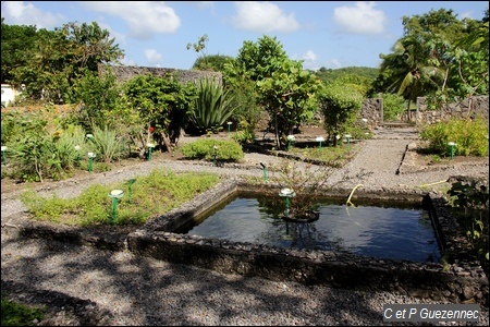 Jardin médicinal de l'habitation Murat