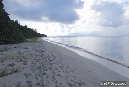 Plage Moustique vers la Pointe du Cimetière