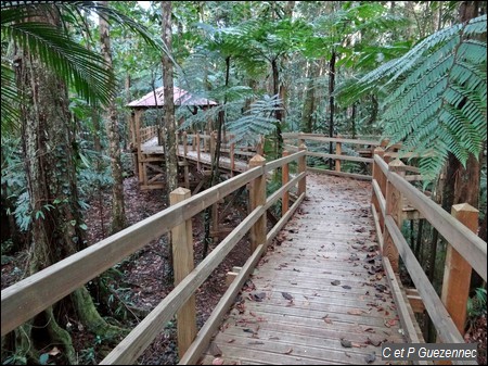 Sentier pédagogique de découverte de la forêt tropicale humide